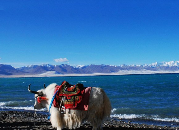 6 Days Lhasa Shigatse Group Tour