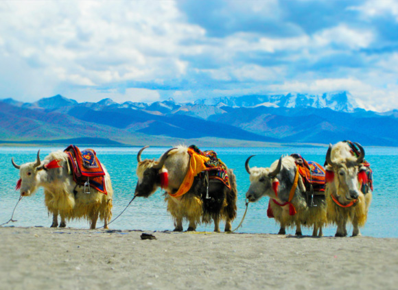 14-Day Tibet and Nepal Natural Scenery Tour